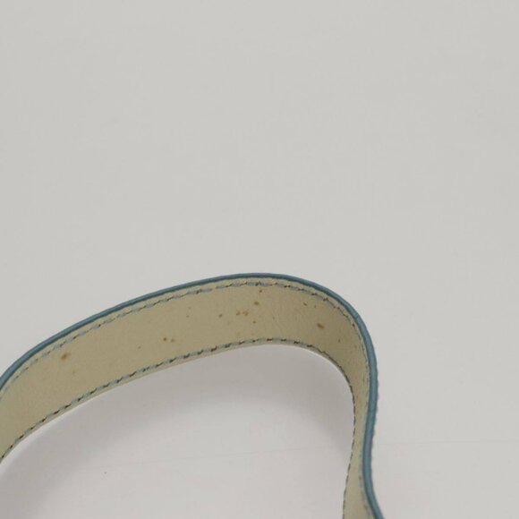 CELINE C Macadam Canvas Shoulder Bag Light Blue - Picture 8 of 15